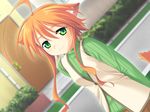  ahoge animal_ears dog_ears dog_tail dutch_angle game_cg green_eyes green_shirt long_hair mikan_(wanko) mizuki_kotora older orange_hair shirt smile solo sweater tail turtleneck vest wanko_to_kurasou 