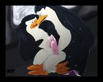 kowalski penguins_of_madagascar skipper tagme 