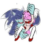  amy_rose sonic_team sonic_the_hedgehog sonic_the_werehog tagme 