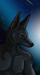  anthro anubian_jackal anubis bodypaint bust canine cryme_the_cheetah deity hair jackal long_hair male mammal nipples piercing realistic shaded solo space stars 