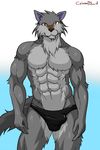  abs anthro biceps big_muscles black_nose brown_eyes bulge canine fur grey_fur male mammal muscles pecs pose scarletblood solo speedo standing swimsuit toned topless underwear wolf 