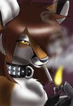  anthro canine collar cox fire fox gideon girly lighter male mammal smoke smoking 