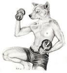  canine coyote dingo exercise greyscale lifting male mammal monochrome navel nipples plain_background solo topless weights white_background 