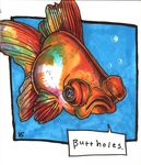  border bubble bubbles dialog english_text eyes fins fish frown goldfish gyr633 marine marker_(art) markers profanity scales solo text traditional_media water 