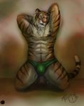 abs anthro armpits arms_behind_head bulge chest_tuft ear_piercing feline front fur green_eyes kneeling male mammal muscles navel panties pecs piercing pose pubes solo stripes tiger topless trunorth tuft underwear 