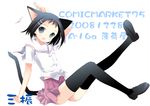  animal_ears cat_ears ikeda_kana kazekoshi_school_uniform saki school_uniform serafuku solo tail thighhighs tokumi_yuiko zettai_ryouiki 