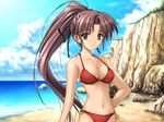  beach bikini breasts brown_eyes brown_hair cleavage day game_cg long_hair medium_breasts navel o-ring o-ring_bottom outdoors ponytail rock saeki_youko sakaki_maki solo swimsuit to... 