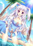  animal_ears archbishop beach blush breasts bunny_ears cleavage cleavage_cutout collarbone curtsey long_hair medium_breasts no_panties open_mouth palm_tree purple_eyes ragnarok_online solo sorai_shin'ya sun tree wading wet white_hair 