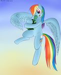  cutie_mark dream_breaker equine female feral friendship_is_magic hair horse mammal multi-colored_hair my_little_pony open_mouth pegasus pony rainbow_dash_(mlp) reptile scalie smile tank_(mlp) turtle wings 