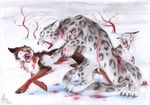  blood canine cat fantasyisland feline feral fight group leopard mammal open_mouth snow snow_leopard wolf wounded yunaki 