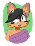  big_head black_hair clothing domestic_cat felid feline felis female fur hair half_body invalid_color mammal misaginus nicole_the_lynx simple_background solo sonic_(series) video_games 