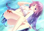  bakemonogatari bikini blue_eyes blush breasts cleavage crab front-tie_top long_hair lying masaharu_(nuaa) medium_breasts monogatari_(series) on_side partially_submerged purple_eyes purple_hair senjougahara_hitagi side-tie_bikini solo strap_gap swimsuit water 