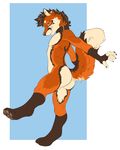  anthro barefoot black_nose brown_hair butt canine collar cress demicoeur fox fur hair looking_at_viewer male mammal markings multicolor_fur naughty_face nude on_one_leg orange_fur paws plain_background playful pose side_view smile socks_(marking) solo standing two_tone_fur 