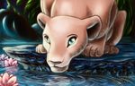  disney drinking fantasyisland feline female feral flower king lion mammal nala royalty scene the_lion_king wallpaper water yunaki 