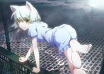  animal_ears barefoot black_hanekawa cat_ears hanekawa_tsubasa monogatari_(series) pajamas s.h.v short_hair solo white_hair yellow_eyes 