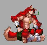  anthro bandage biceps big_muscles bloody_reddawn canine claws clothing dog eyewear fangs fliegen80s fur goggles green_eyes grin hair husky male mammal muscles necklace pecs pose red_fur shorts sitting solo tan_fur teeth toe_claws toned topless unknown_artist 