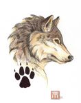  canine mammal melissa-a-benson pawprint solo wolf 