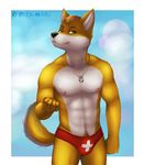  abs anthro beach biceps big_muscles black_nose bulge canine dog dog_tags fur green_eyes hair husky invalid_color lifeguard male mammal muscles nipples pecs pose seaside solo speedo standing summer sweat swimsuit topless zeta-haru 