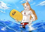  as40728 black_nose blue_eyes canine chest_tuft dog fur looking_at_viewer male mammal nipples shiba_inu solo speedo swimsuit tuft unknown_artist water whistle 