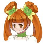  bad_id bad_pixiv_id brown_eyes choker closed_mouth cure_rosetta dokidoki!_precure face green_choker lowres orange_hair precure sasamaru_chimaki simple_background smile solo twintails upper_body white_background yotsuba_alice 