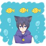  :/ animal_ears blue_eyes blue_hair bubble cat_ears fish free! male_focus nanase_haruka_(free!) oka_(540777143) 