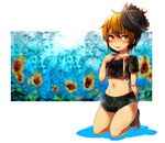  adapted_costume blonde_hair blue_sky collarbone contemporary flower harusame_(unmei_no_ikasumi) hat highres kneeling looking_at_viewer lunasa_prismriver midriff navel shirt short_shorts short_sleeves shorts sky solo sun sunflower sweat touhou yellow_eyes 