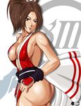  1girl ass breasts brown_hair fatal_fury jonathanbn king_of_fighters king_of_fighters_xiii large_breasts ponytail shiranui_mai smile snk solo 