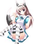  alice_(wonderland) alice_(wonderland)_(cosplay) alice_in_wonderland animal_ears bad_id bad_pixiv_id blonde_hair chester_(subculturetv) cosplay dog_ears dog_tail eila_ilmatar_juutilainen hair_ribbon long_hair purple_eyes ribbon solo strike_witches striped striped_legwear tail thighhighs world_witches_series 