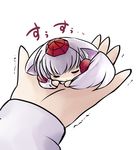  animal_ears chibi closed_eyes hands hat in_palm inubashiri_momiji minigirl out_of_frame pov pov_hands short_hair sleeping solo_focus tail tokin_hat touhou wolf_ears yume_shokunin 