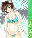  bikini brown_eyes brown_hair flower ichigo_100_percent mukai_kozue sakurami_azuki short_hair solo swimsuit traditional_media 