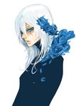  bad_id bad_pixiv_id blue_flower blue_rose casshern_sins dio_(casshern_sins) flower green_eyes male_focus rose scar scar_across_eye solo white_hair zuwai_kani 