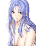  bad_id bad_pixiv_id blue_eyes blue_hair braid breasts caster fate/stay_night fate_(series) highres large_breasts long_hair nude pointy_ears solo washizu0808 
