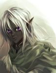  dark_elf dark_skin drizzt_do&#039;urden drizzt_do'urden dungeons_and_dragons elf pointy_ears purple_eyes white_hair 