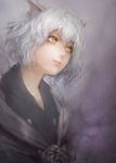  androgynous animal_ears bad_id bad_pixiv_id hunter_x_hunter light_smile miche neferpitou nose silver_hair solo yellow_eyes 