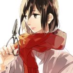  brown_hair hair_between_eyes holding looking_away mikasa_ackerman rookya scarf scissors shingeki_no_kyojin short_hair solo 