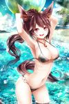  :d alternate_costume alternate_hairstyle animal_ears armpits arms_up ball beach beachball bikini breasts brown_hair cleavage day eyelashes fish highres imaizumi_kagerou jewelry large_breasts long_hair looking_at_viewer mikoma_sanagi navel necklace o-ring o-ring_bottom open_mouth outdoors pendant ponytail red_eyes smile solo strap_gap swimsuit tail touhou very_long_hair wading water wet wolf_ears wolf_tail 