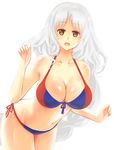  absurdres alternate_costume bad_id bad_pixiv_id bikini breasts brown_eyes cleavage front-tie_top highres large_breasts long_hair navel open_mouth side-tie_bikini simple_background solo swimsuit touhou wavy_hair white_background white_hair x&amp;x&amp;x yagokoro_eirin 
