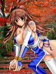  1girl breasts brown_hair dead_or_alive forest kasumi kasumi_(doa) large_breasts nature panties smile solo tecmo underwear 