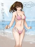  1girl beach bikini breasts brown_eyes brown_hair bula dead_or_alive highres kasumi kasumi_(doa) large_breasts long_hair ocean ponytail smile solo swimsuit tecmo translation_request water 