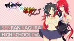  2girls asuka_(senran_kagura) bikini black_hair blue_eyes bra breasts crossover high_school_dxd highschool_dxd large_breasts long_hair multiple_girls red_hair rias_gremory senran_kagura senran_kagura_(series) skirt smile standing swimsuits underwear wallpaper yaegashi_nan 