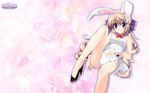  animal_ears bunny_ears bunnygirl koiiro_soramoyou long_hair ruchie shinohara_sera studio_ryokucha zoom_layer 