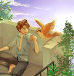  1boy barefoot bellsprout brown_hair budew highres pidgey pokemon sonezaki_masaki 