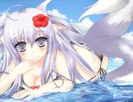  absurdres animal_ears bikini breasts cleavage finger_to_mouth flower fox_ears fox_tail hair_flower hair_ornament hibiscus highres long_hair looking_at_viewer lying medium_breasts multiple_tails on_stomach original piano_(1991_0422) purple_eyes purple_hair solo strap_slip swimsuit tail water 