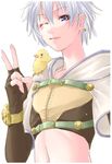  bird chick crossdressing hunter_(ragnarok_online) lowres male_focus mr.romance otoko_no_ko ragnarok_online solo white_hair 