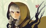  absurdres braid brown_eyes cloak dragon's_crown elf elf_(dragon's_crown) face forest highres hood hooded_cloak lips long_hair looking_at_viewer nanothotep nature pointy_ears smile solo twin_braids white_hair 