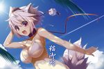  alternate_costume animal_ears bare_shoulders bikini blush breasts cleavage collar day hat inubashiri_momiji large_breasts looking_at_viewer red_eyes short_hair smile solo swimsuit tail tokin_hat touhou white_bikini white_hair wolf_ears wolf_tail yanagi_yuu 