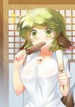 alternate_costume animal_ears blush breasts cleavage danbo_(rock_clime) eating food green_eyes green_hair highres kasodani_kyouko large_breasts looking_at_viewer messy no_bra popsicle see-through shirt short_hair solo t-shirt tail touhou 