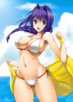  ass_visible_through_thighs bare_shoulders bikini blue_eyes blush braid breasts cloud covered_nipples day hair_intakes horizon kanon large_breasts lens_flare long_hair looking_at_viewer mature minase_akiko mitarashi_kousei navel ocean open_mouth purple_hair shiny shiny_skin side-tie_bikini single_braid skindentation sky smile solo sparkle string_bikini swimsuit towel underboob water 