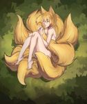  1girl aesice animal_ears blonde_hair highres nude tail touhou yakumo_ran 