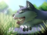 absurd_res amarali_(artist) ambiguous_gender anthro canid canine canis duo eyewear eyewear_on_head glasses glasses_on_head grass hi_res hyena mammal mawplay micro mouth_shot open_mouth outside plant size_difference vore wolf